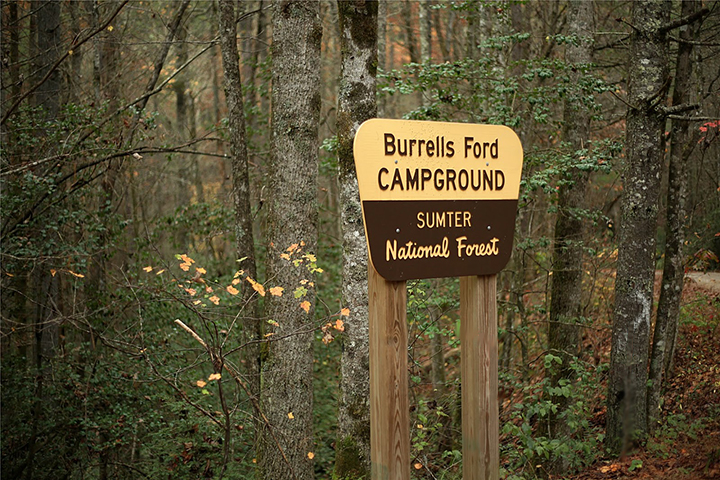 Nebraska Forest